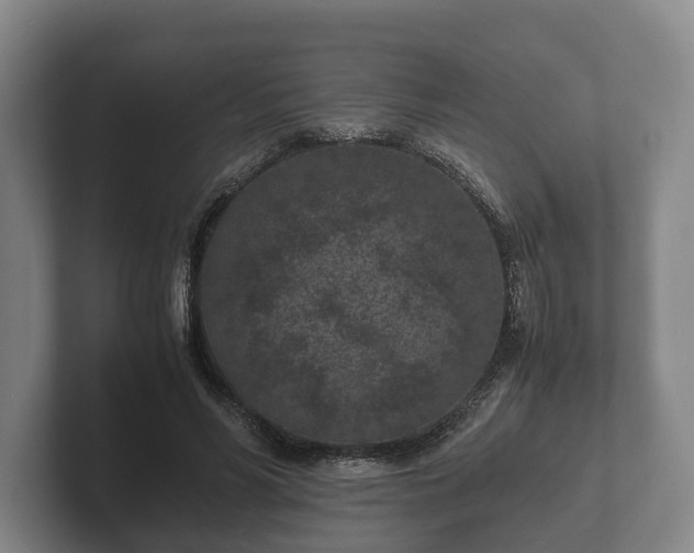 X0000102380590200808081139