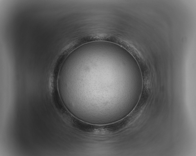 X0000102380591200808081139