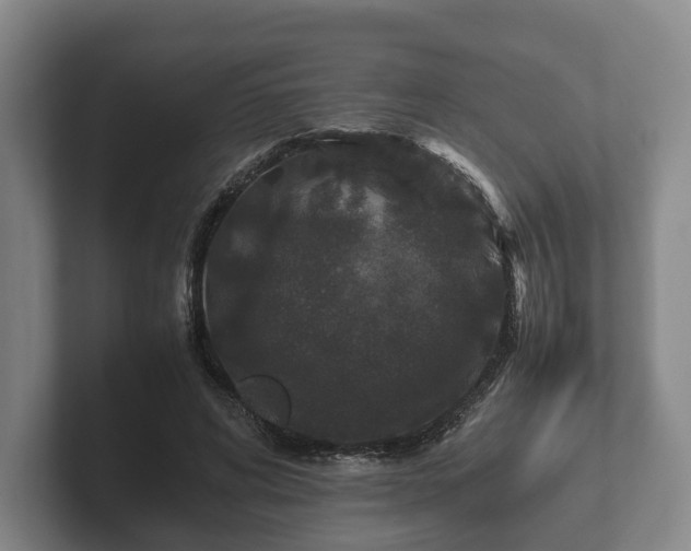 X0000102380592200808081139