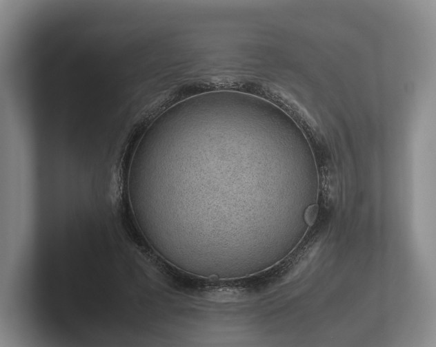 X0000102380593200808081139