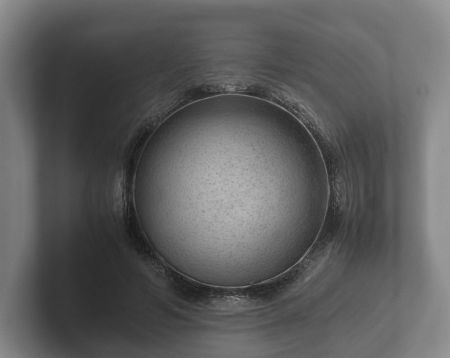 X0000102380594200808081139