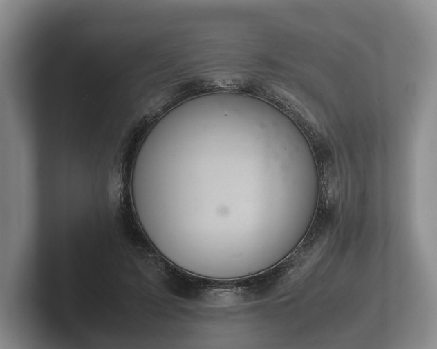 X0000102380595200808081139