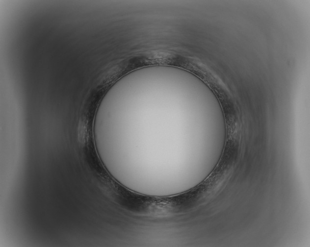 X0000102380599200808081139