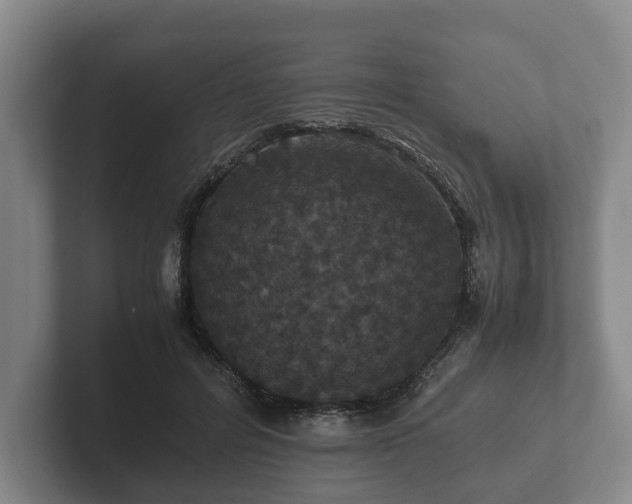 X0000102380600200808081139