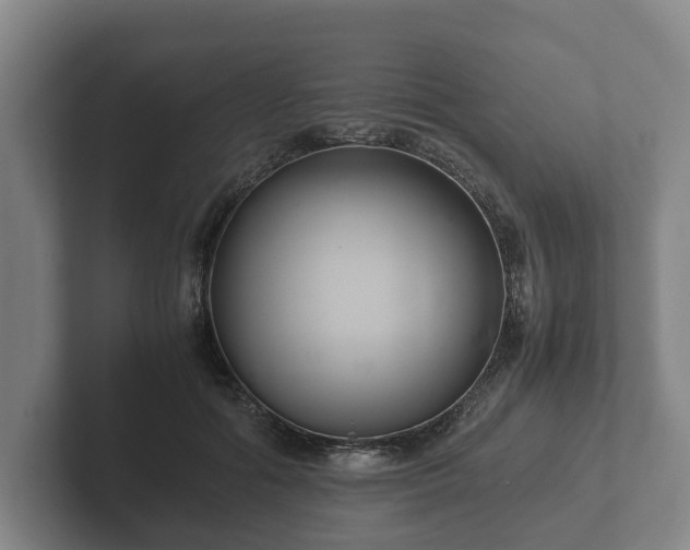 X0000102380602200808081139