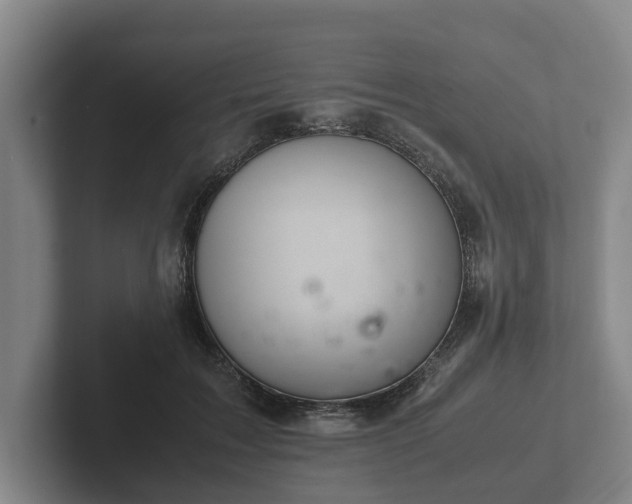 X0000102380603200808081139