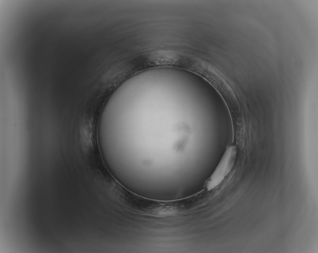 X0000102380604200808081139