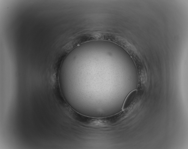 X0000102380611200808081139