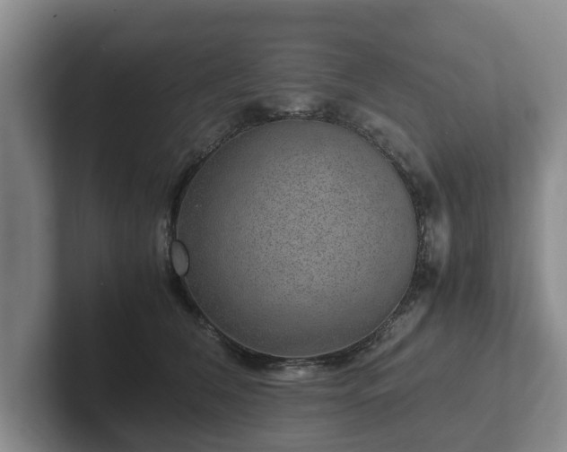 X0000102380612200808081139