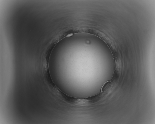 X0000102380617200808081139