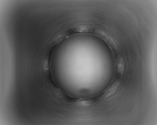 X0000102380620200808081139