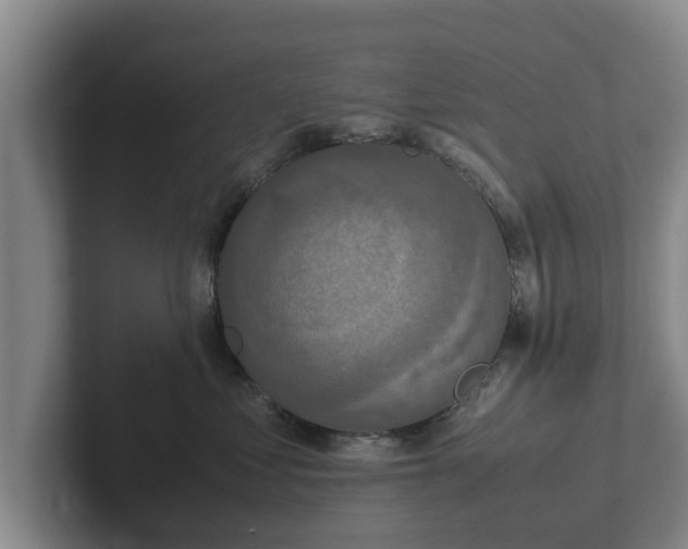 X0000102380621200808081139