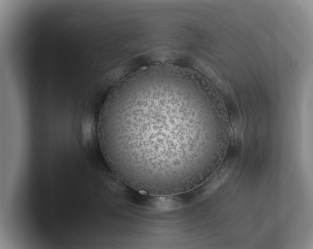 X0000102380623200808081139