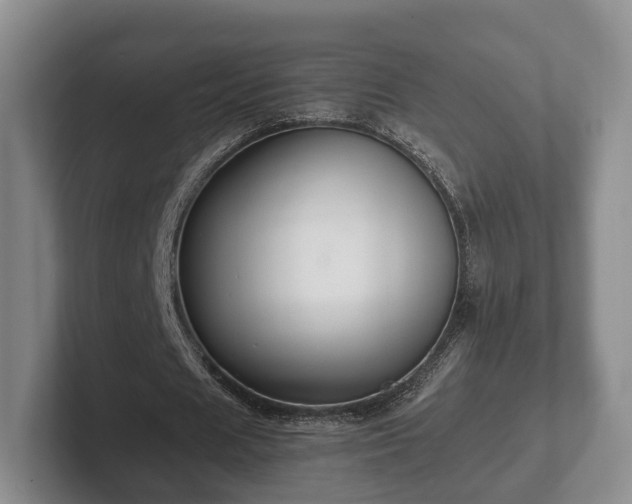 X0000102380625200808081138