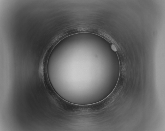 X0000102380626200808081138