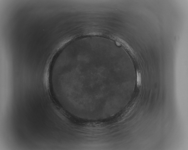 X0000102380627200808081138