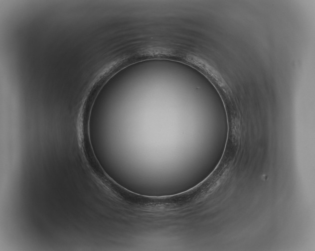 X0000102380629200808081138