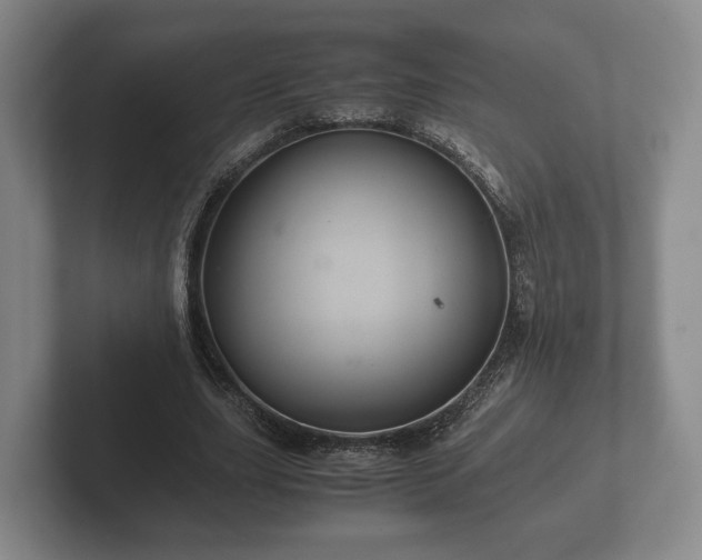 X0000102380631200808081138