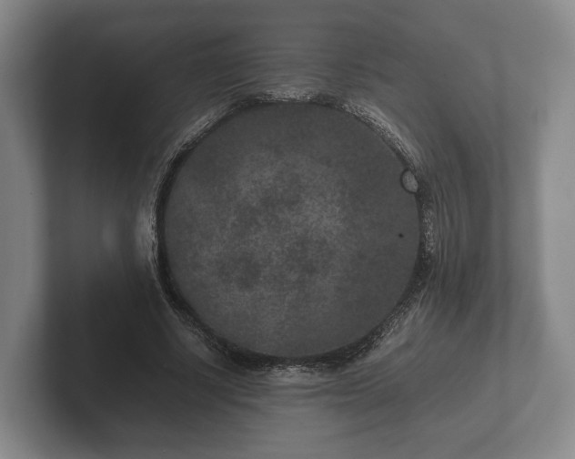 X0000102380634200808081138