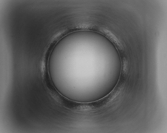 X0000102380636200808081138