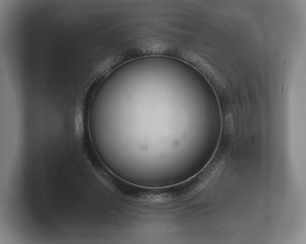 X0000102380638200808081138