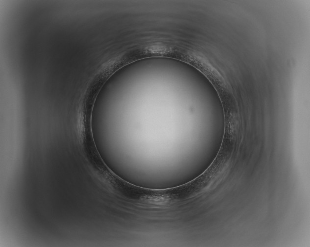 X0000102380639200808081138