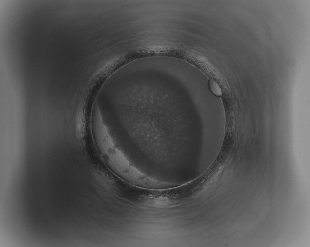 X0000102380640200808081138