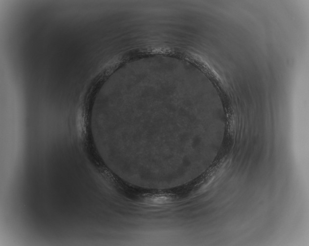 X0000102380643200808081138