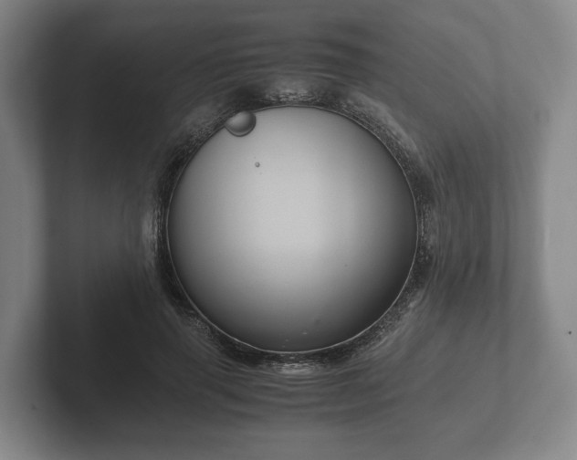 X0000102380645200808081138