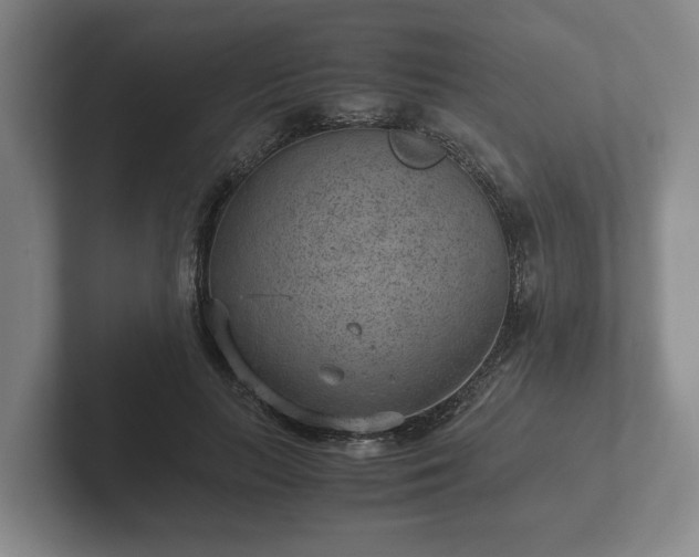 X0000102380647200808081138