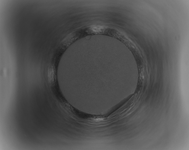 X0000102380651200808081138