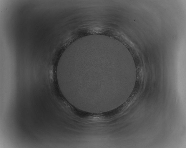 X0000102380655200808081138