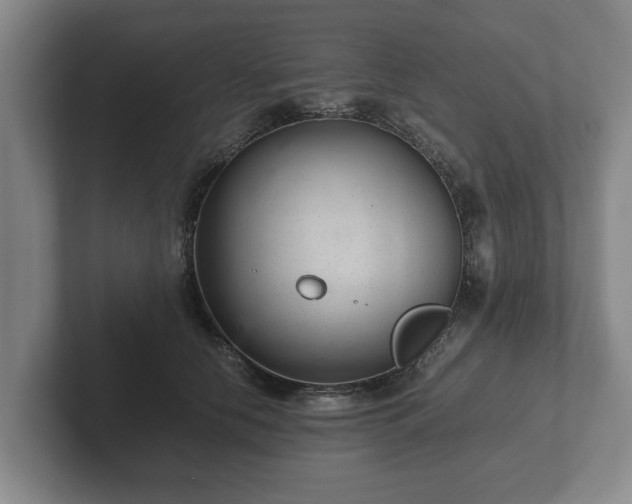 X0000102380658200808081138