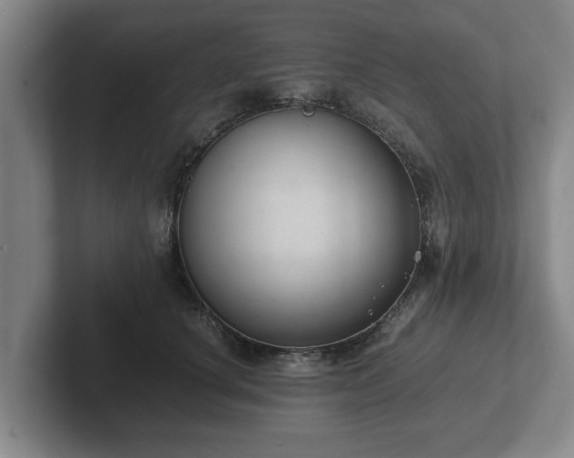 X0000102380660200808081138