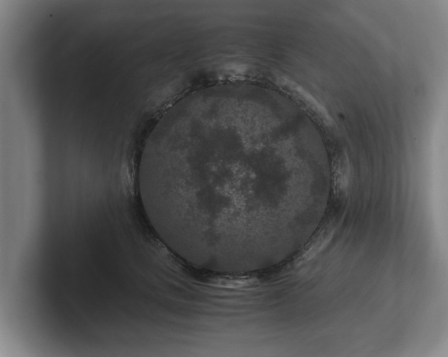 X0000102380661200808081138