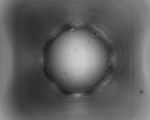 X0000102380662200808081138