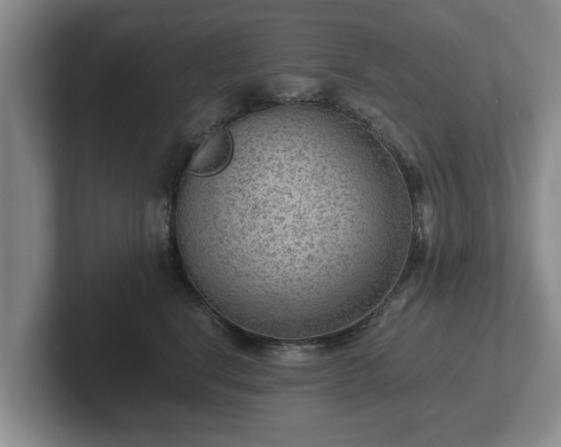 X0000102380664200808081138