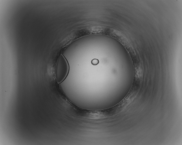 X0000102380666200808081138