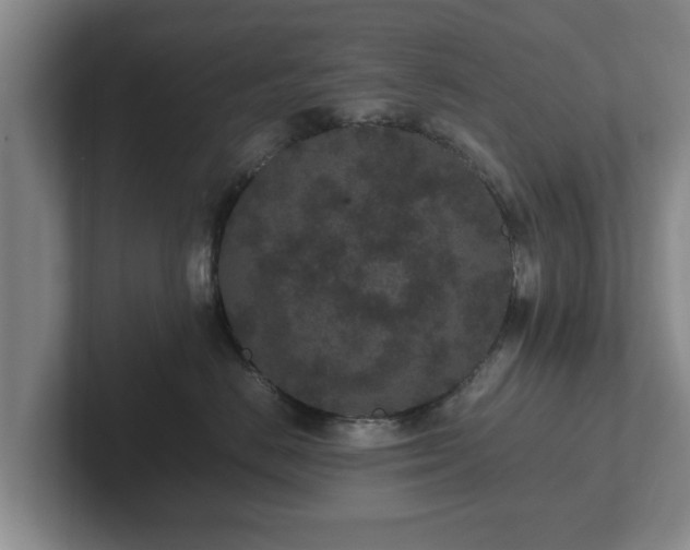 X0000102380670200808081138