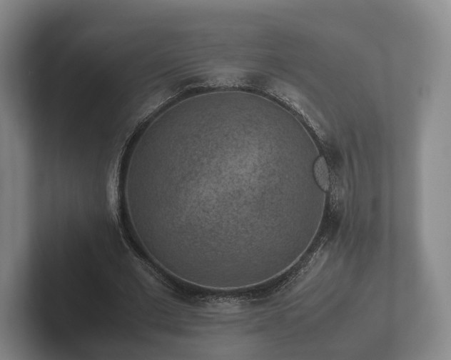 X0000102380677200808081138