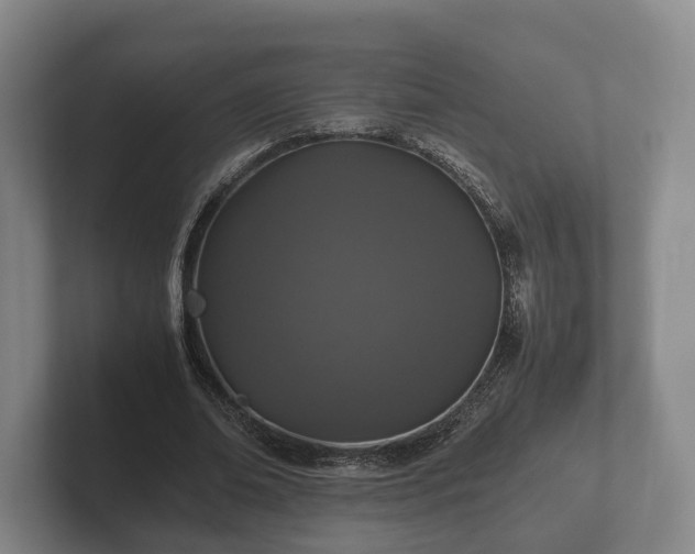 X0000102380678200808081138