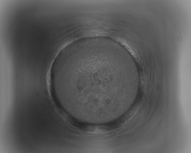 X0000102380679200808081138