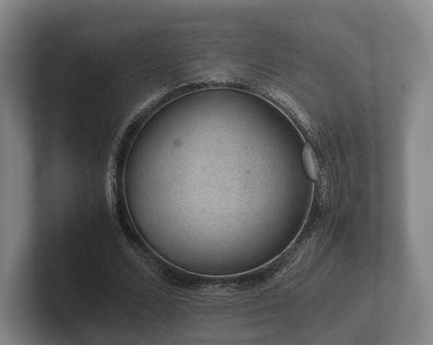 X0000102380680200808081138