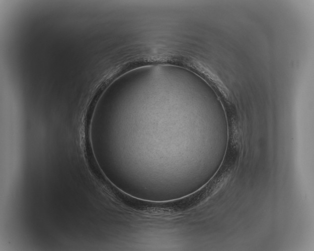 X0000102380681200808081138