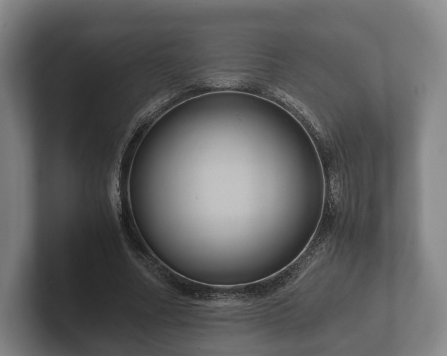 X0000102380682200808081138