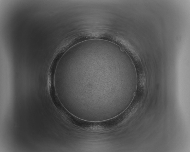 X0000102380685200808081138