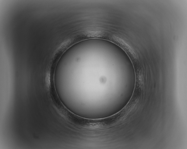 X0000102380686200808081138