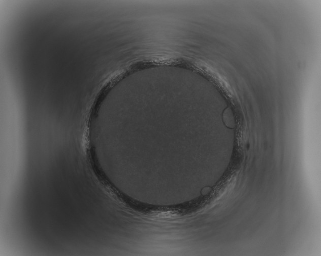 X0000102380689200808081138