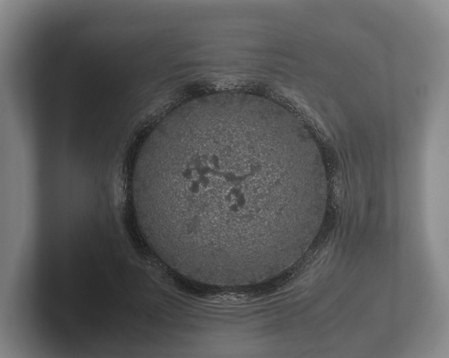 X0000102380691200808081138