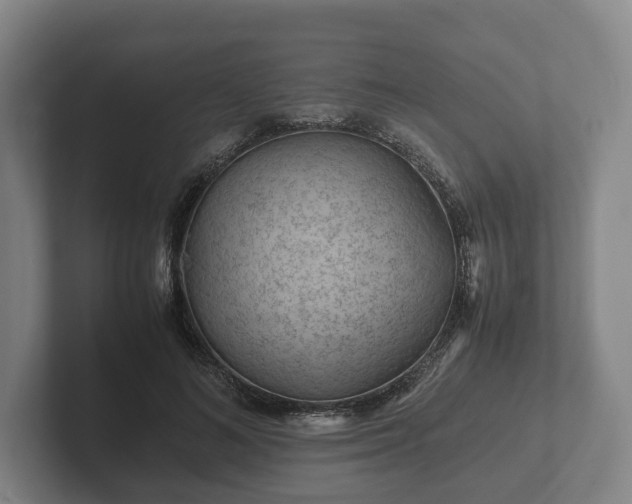 X0000102380692200808081138